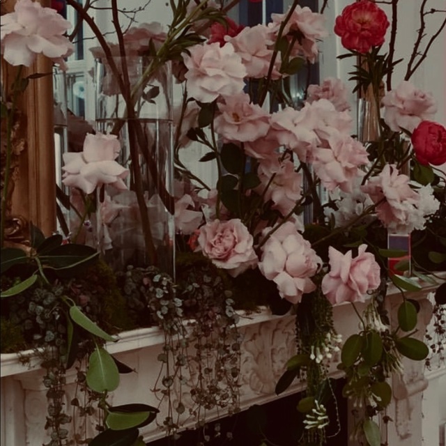 Poshmark banner for @ontoast